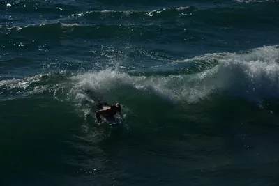 December 2015 - Santa Monica